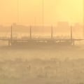 The Impact of Pollution on Air Quality in Homestead FL